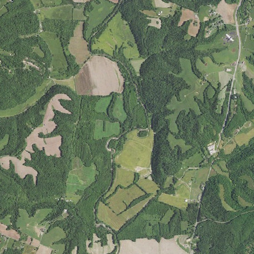 Aerial imagery of Kettle Creek, KY