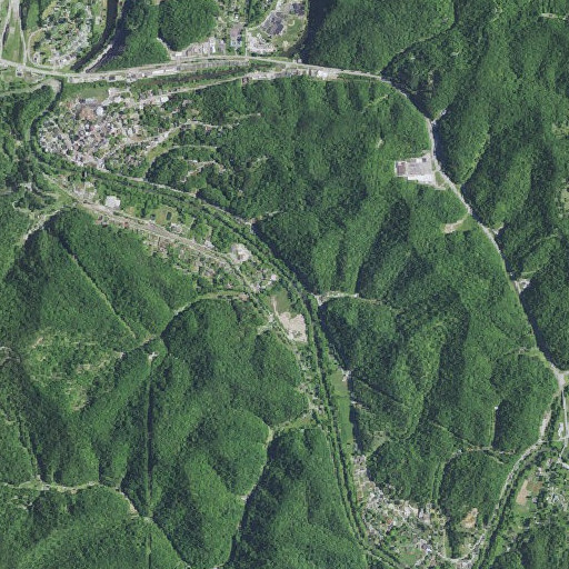 Aerial imagery of Kings Branch, KY