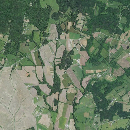 Aerial imagery of Laytonsville School, KY