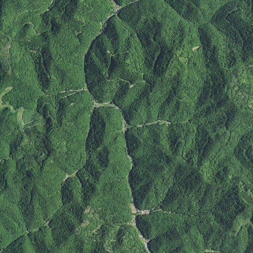 Aerial imagery of Lick Branch, KY