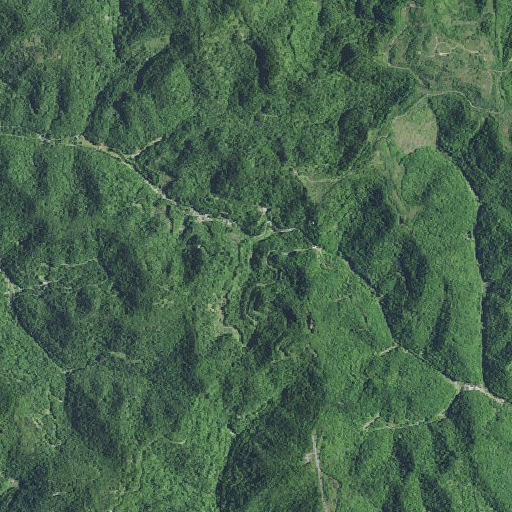Aerial imagery of Logan Gap, KY