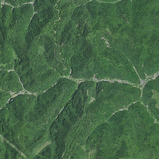 Aerial imagery of Long Branch, KY
