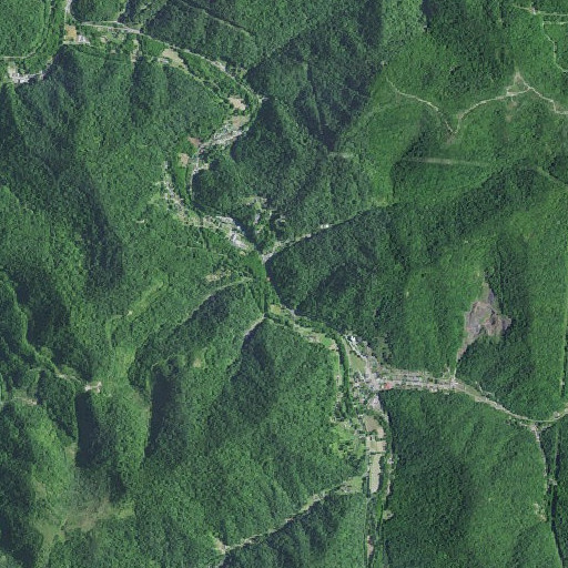 Aerial imagery of Martin Branch, KY