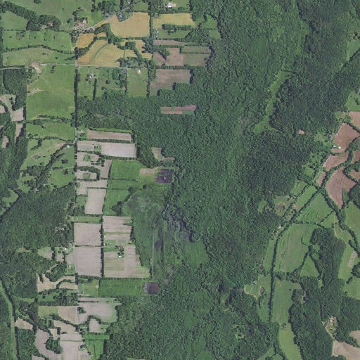 Aerial imagery of McCullough Fork, KY
