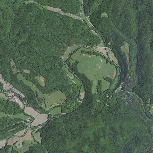 Aerial imagery of Miller Branch, KY