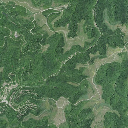 Aerial imagery of Muddy Branch, KY