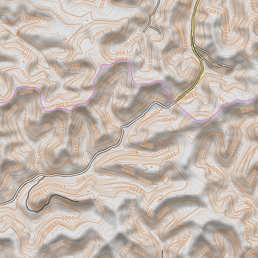 OpenTopoMap map of Muddy Branch, KY