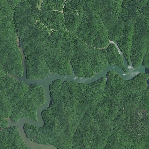 Aerial imagery of Muddy Branch, KY