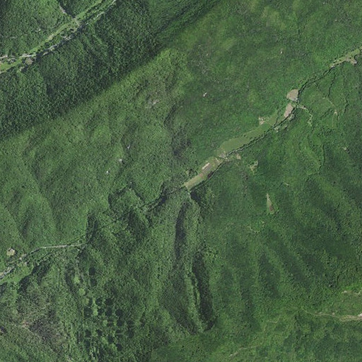 Aerial imagery of Nelson Branch, KY