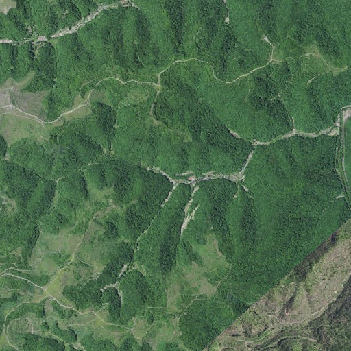 Aerial imagery of Owen Branch, KY