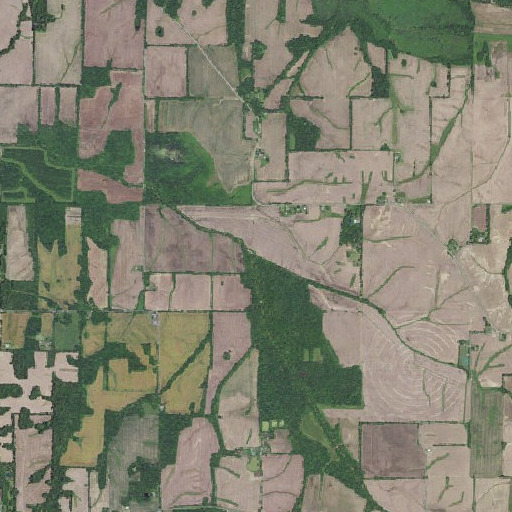 Aerial imagery of Pond Branch, KY