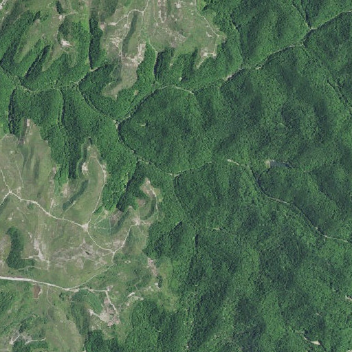Aerial imagery of Prince Fork, KY