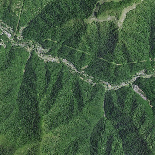 Aerial imagery of Reids Branch, KY