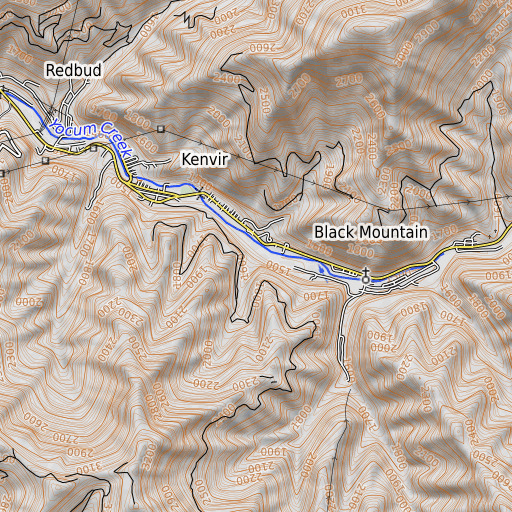 OpenTopoMap map of Reids Branch, KY