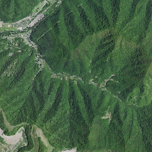 Aerial imagery of Road Branch, KY