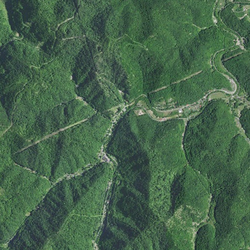 Aerial imagery of Roaring Branch, KY