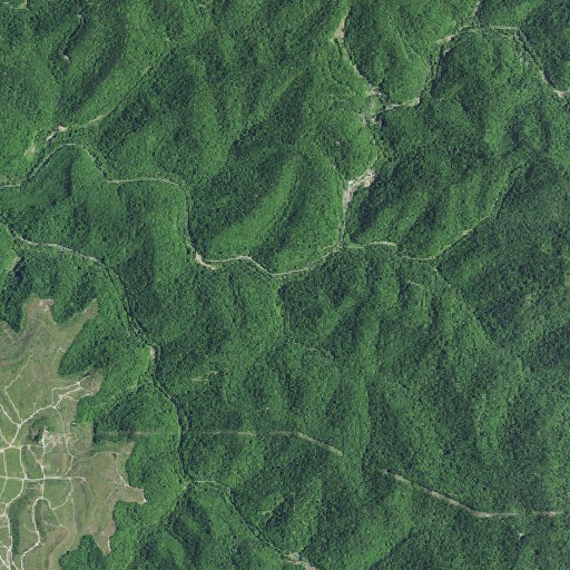 Aerial imagery of Rockhouse Branch, KY