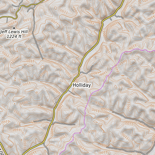 OpenTopoMap map of Rocky Branch, KY