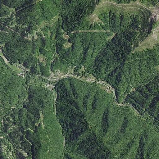 Aerial imagery of Saylor Branch, KY