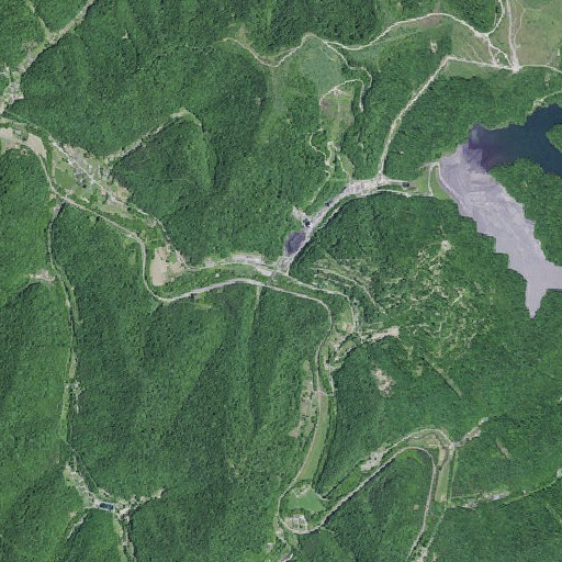Aerial imagery of Scott Branch, KY