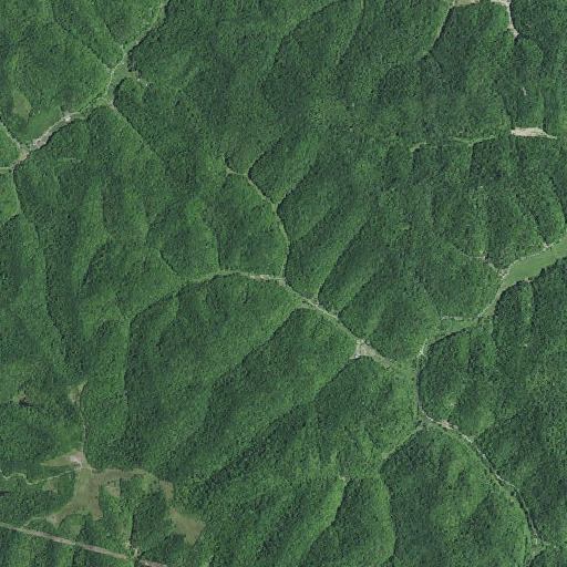 Aerial imagery of Sheep Pen Branch, KY