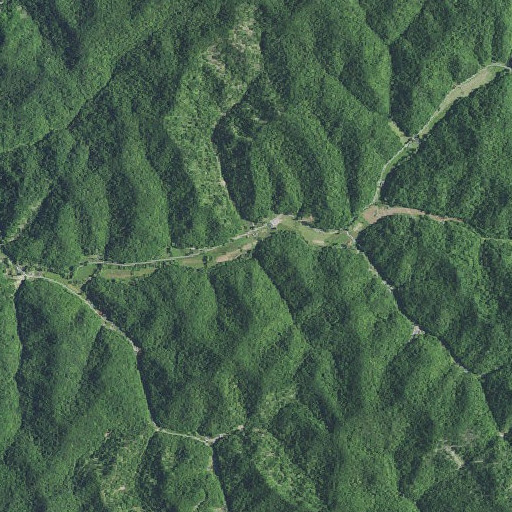 Aerial imagery of Spice Branch, KY