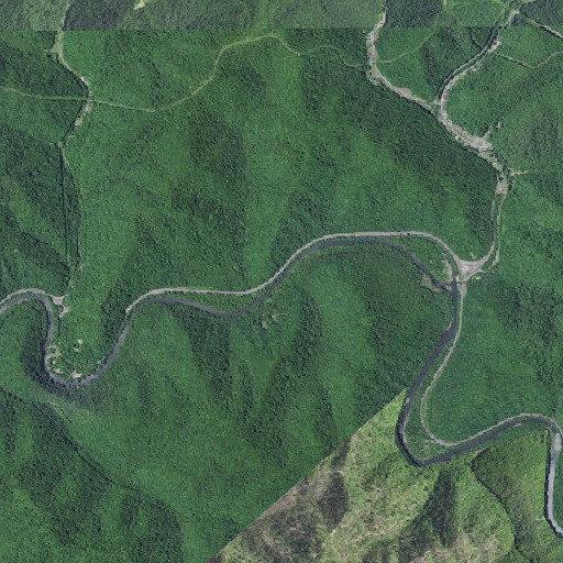 Aerial imagery of Staggerweed Branch, KY