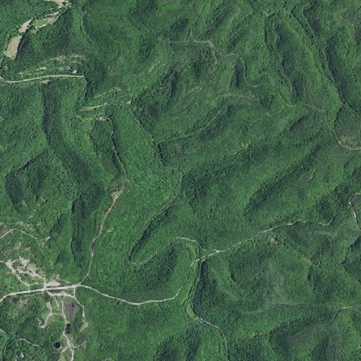 Aerial imagery of Sugar Camp Branch, KY