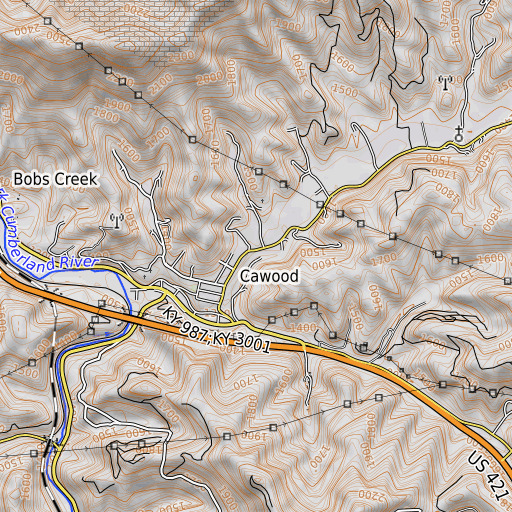 OpenTopoMap map of Thompson Branch, KY