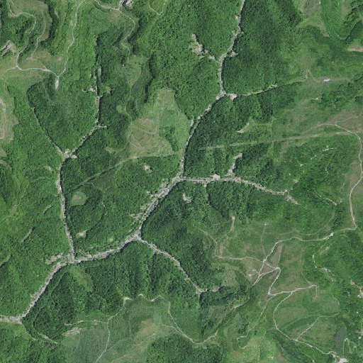 Aerial imagery of Tom Biggs Branch, KY