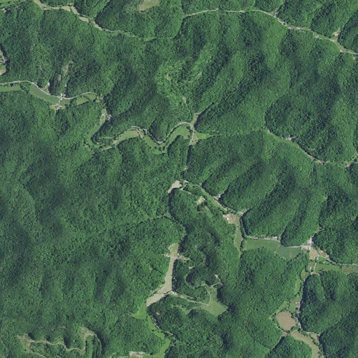 Aerial imagery of Trace Fork, KY