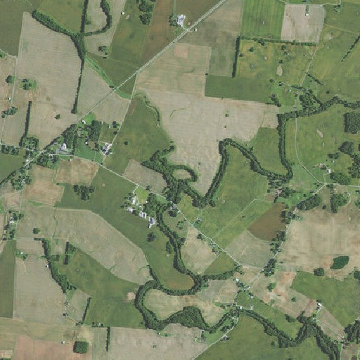 Aerial imagery of Vicks Branch, KY