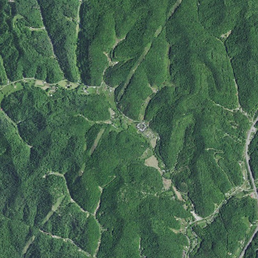 Aerial imagery of Well Branch, KY