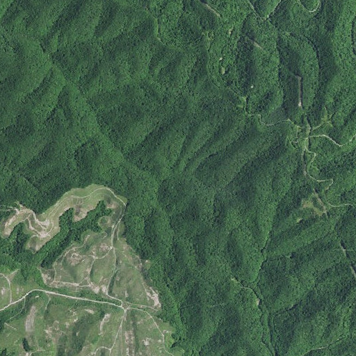 Aerial imagery of Duck Branch, KY