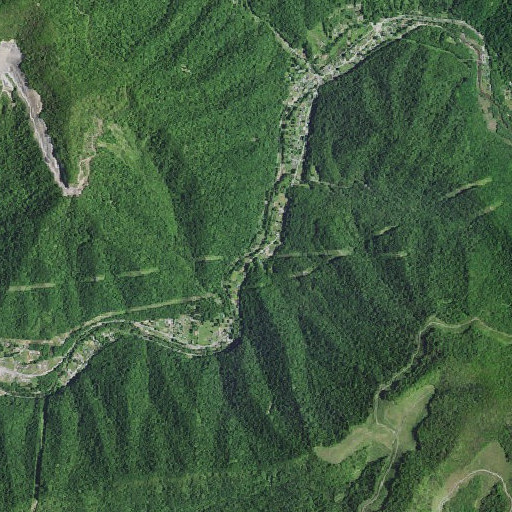 Aerial imagery of Bailey Branch, KY