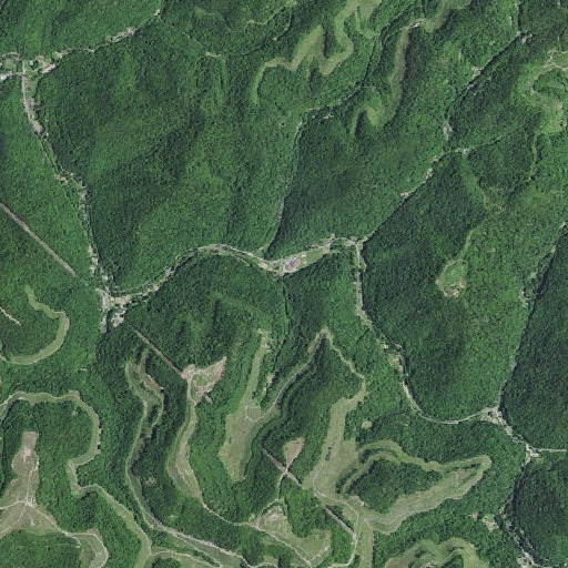 Aerial imagery of Bear Branch, KY