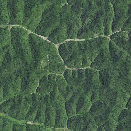Aerial imagery of Buck Fork, KY