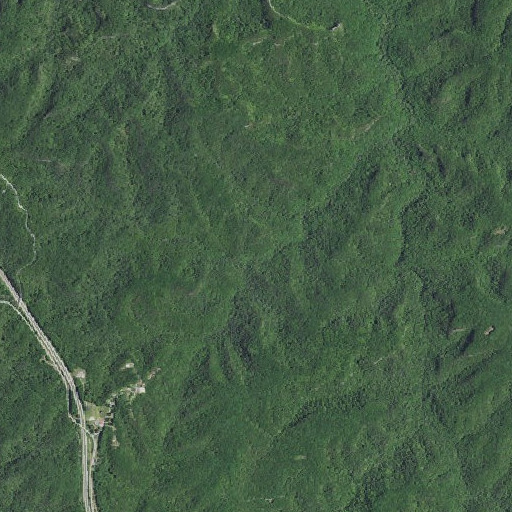 Aerial imagery of Buck Trail, KY
