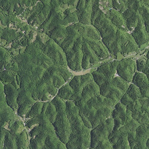 Aerial imagery of Buckeye Branch, KY