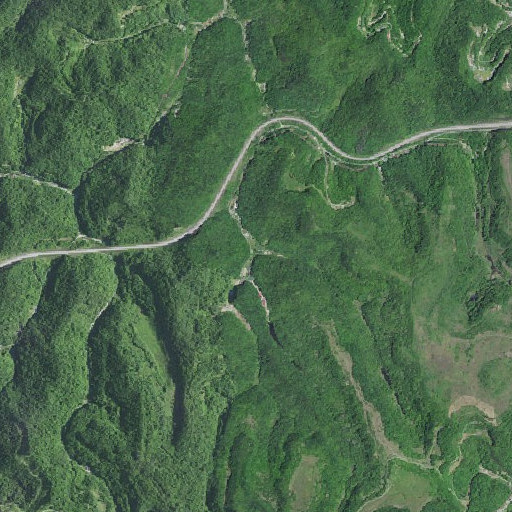 Aerial imagery of Buzzard Branch, KY