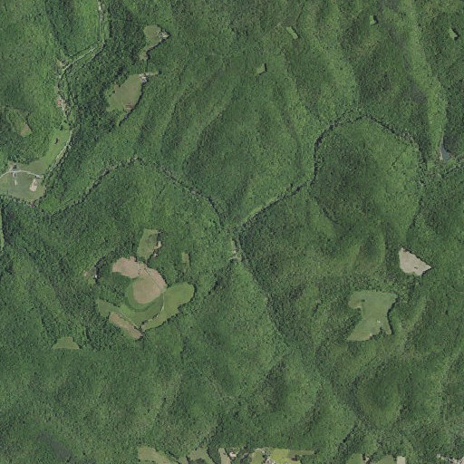 Aerial imagery of Buzzard Branch, KY