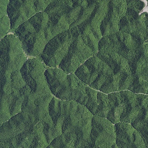 Aerial imagery of Buzzard Fork, KY