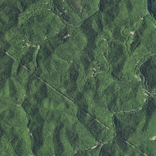 Aerial imagery of Buzzard Roost, KY