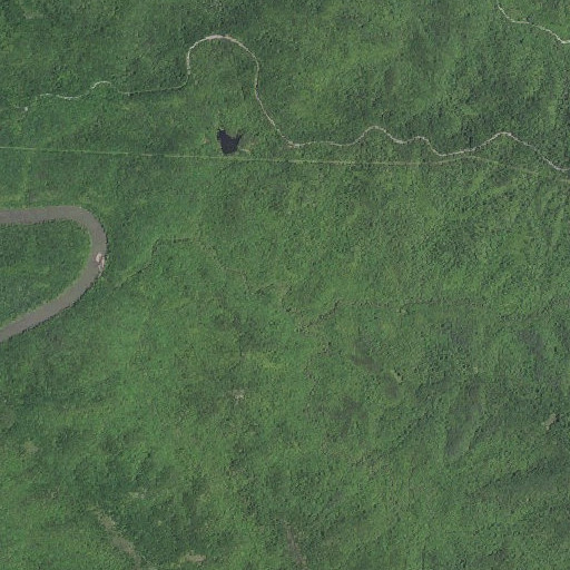 Aerial imagery of Calf Pen Fork, KY