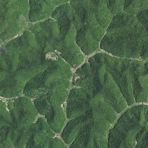 Aerial imagery of Camel Branch, KY