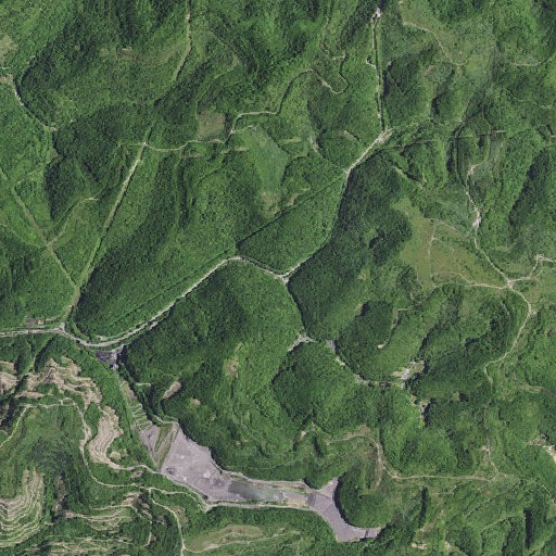 Aerial imagery of Camp Branch, KY