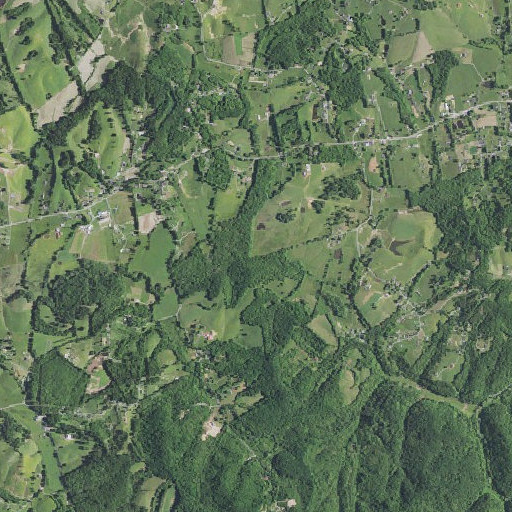 Aerial imagery of Camp Branch, KY