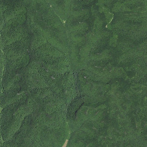 Aerial imagery of Camp Branch, KY