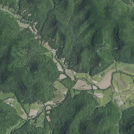 Aerial imagery of Campbell Branch, KY