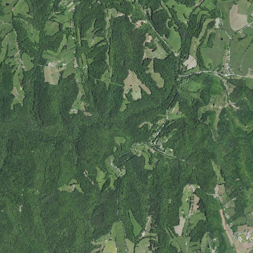 Aerial imagery of Cane Branch, KY